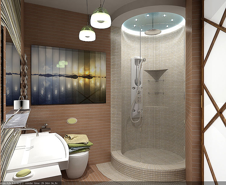 Stilingas dušo kabinos dizainas vonios kambaryje