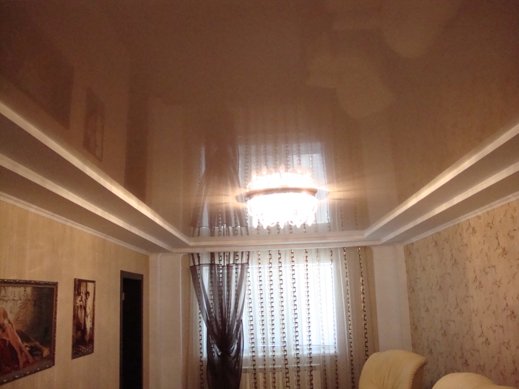 Contro di scegliere un'ombra fredda fredda del soffitto teso per il salone