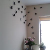 farfalle insolite nello stile della foto della cucina