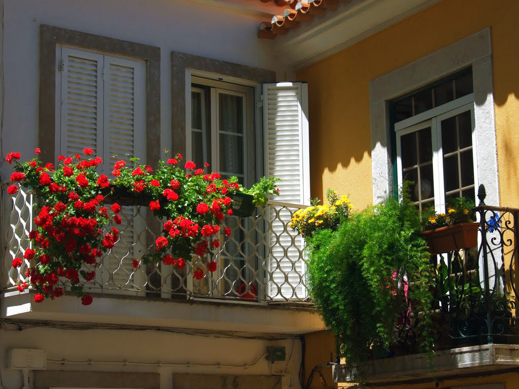 bright flowers in the interior of the balcony on the lintels design