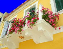 bright flowers in the interior of the balcony on the lintels design photo