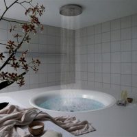 design luminoso di un bagno con una doccia in colori scuri foto