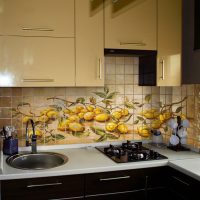 bellissimo grembiule da piastrelle di grande formato con l'immagine all'interno della foto della cucina