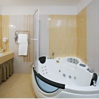 intérieur lumineux d'une salle de bain avec douche en couleurs sombres photo