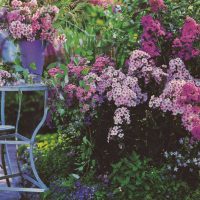 aménagement paysager chic de la cour à l'anglaise avec photo de fleurs