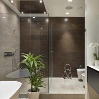 décor insolite d'une salle de bain avec une douche de couleur claire