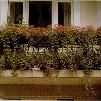 fiori chic sul balcone sulla foto di esempio dei ponticelli