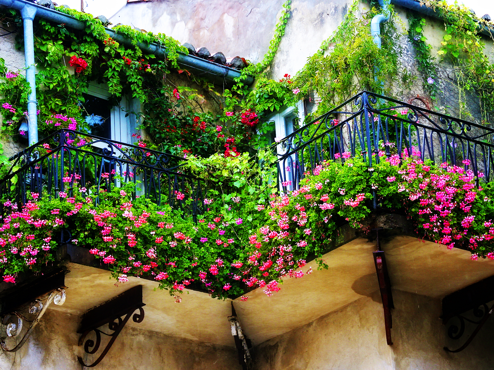 fiori chic su un balcone all'interno di whatnots