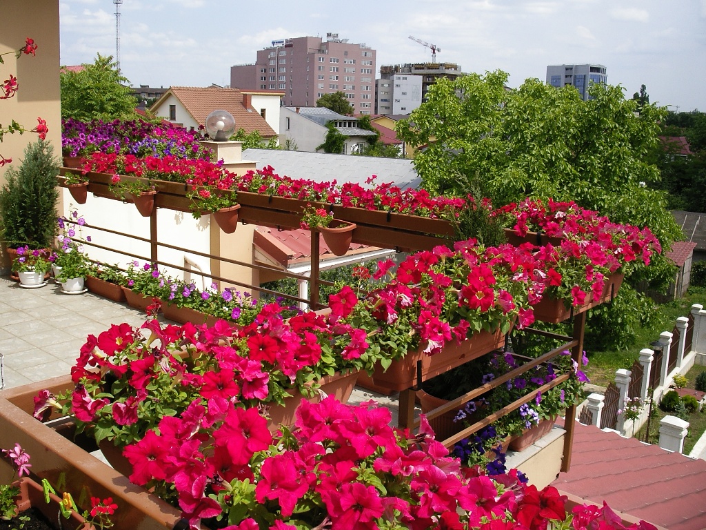 bellissimi fiori sul design delle mensole del balcone