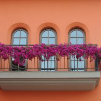 fiori eleganti sul balcone sulla foto di design degli scaffali