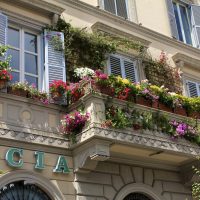 bright flowers on the balcony on the shelves example picture