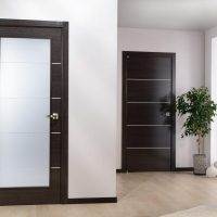dark doors in mahogany apartment decor photo
