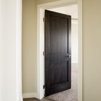 dark doors in pine design apartment picture