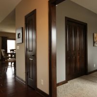 dark doors in oak corridor design picture