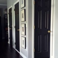 dark walnut style doors photo