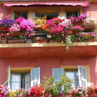 fiori chic sul balcone nella foto di esempio dei ponticelli