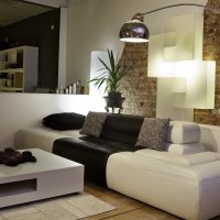ryški sofa, esanti svetainės stiliaus nuotraukoje