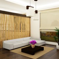 plafond avec bambou à l'intérieur de la photo du couloir