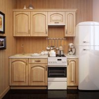 piccolo frigorifero nell'arredamento della cucina in foto a colori nero
