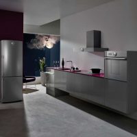 un piccolo frigorifero all'interno della cucina con foto a colori in acciaio