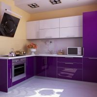 stile insolito della cucina in una tinta viola