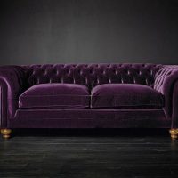 tumši violets dīvāns koridora attēla interjerā