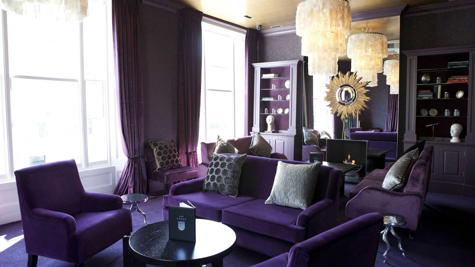 tumši violets dīvāns viesistabas dizainā