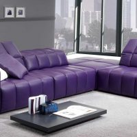 тъмно лилав диван в дизайна на снимката на хола
