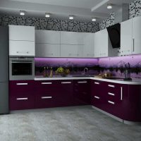 stile cucina luminoso in tinta viola foto