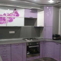 bella facciata della cucina in foto tinta viola