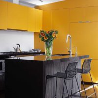 design inhabituel de l'appartement en couleur couleur moutarde