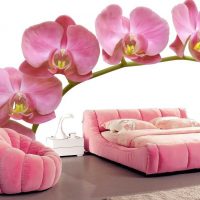 une combinaison de rose clair dans le style de la chambre à coucher avec d'autres couleurs