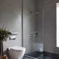 šviesiai pilkos spalvos derinys namų dizaino paveikslėlyje