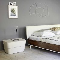kombinacija svijetlo sive boje u dizajnu fotografije stana