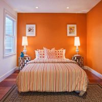 une combinaison d'orange vif dans le décor avec d'autres couleurs de la photo