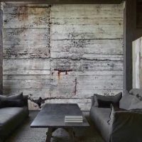 l'idea di un bellissimo intonaco decorativo nello stile del soggiorno sotto la foto di cemento