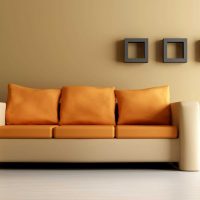 ideja par skaistu dzīvokļa dekoru ar dīvāna attēlu