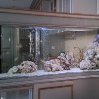 l'idée de décoration lumineuse maison aquarium photo