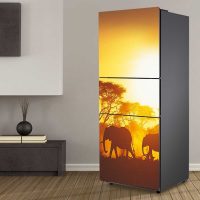 l'idea di un brillante design fotografico del frigorifero