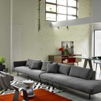 modernaus kambario dekoro su sofa nuotrauka versija