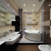 l'idée de la conception originale de la salle de bain dans la photo de l'appartement