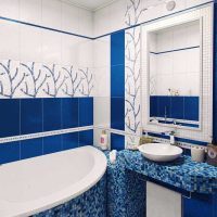 l'idée d'un style lumineux d'une salle de bain dans une photo d'appartement