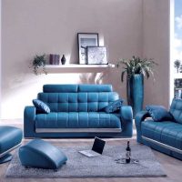 gražaus kambario interjero su sofa nuotrauka versija