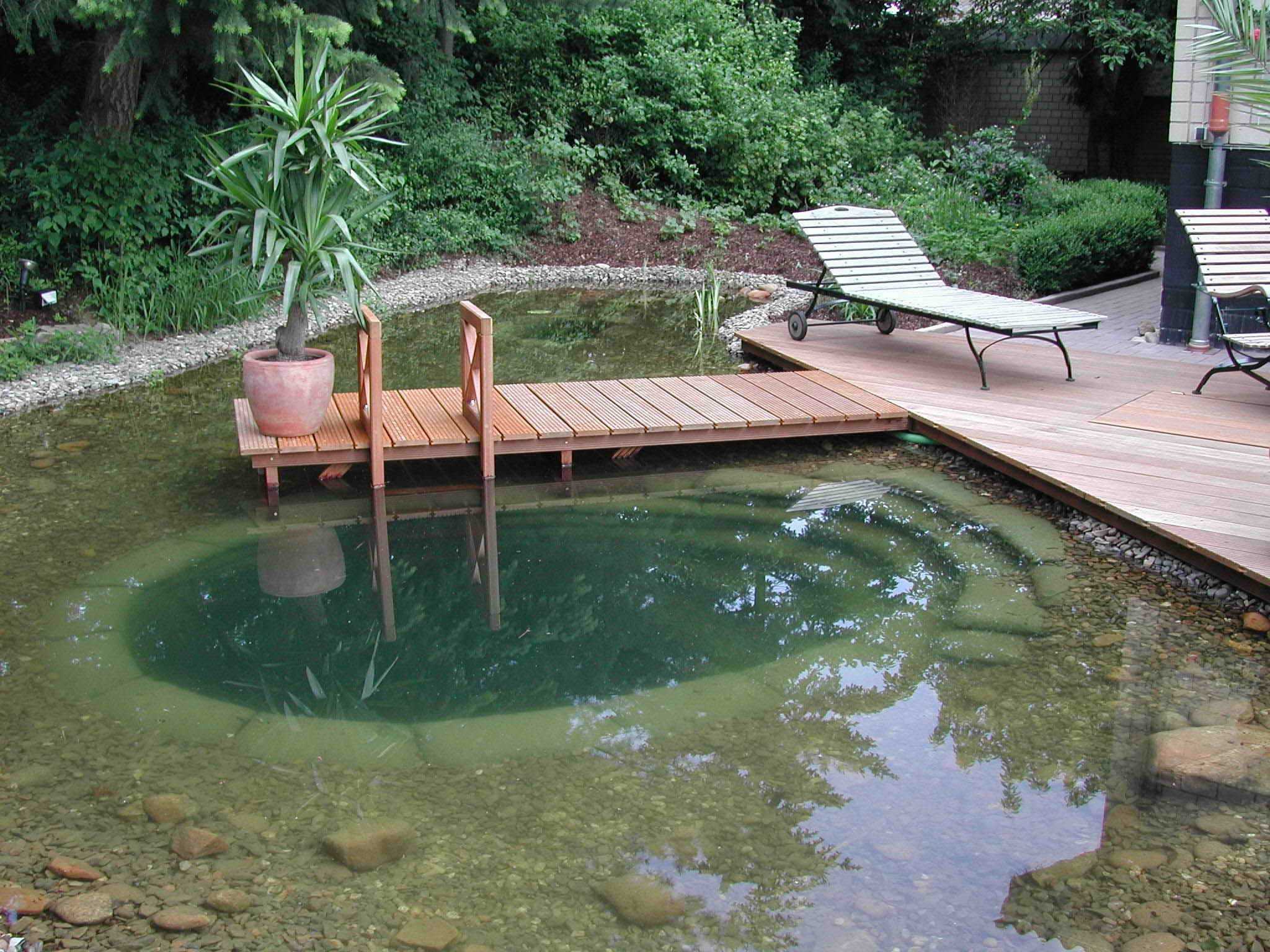 idée de la conception originale d'une petite piscine