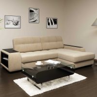 ideja par skaistu dzīvokļa dizainu ar dīvāna fotoattēlu