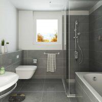 idée d'un intérieur insolite d'une salle de bain dans une photo d'appartement