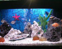 option décoration lumineuse aquarium photo