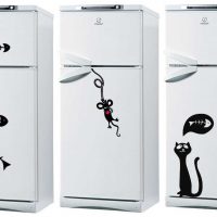 l'idea del design originale del frigorifero nella foto della cucina