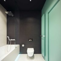 modernaus stiliaus vonios kambario idėja, 6 kv.m nuotrauka