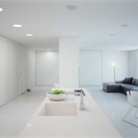 version du bel intérieur du salon dans le style du minimalisme photo